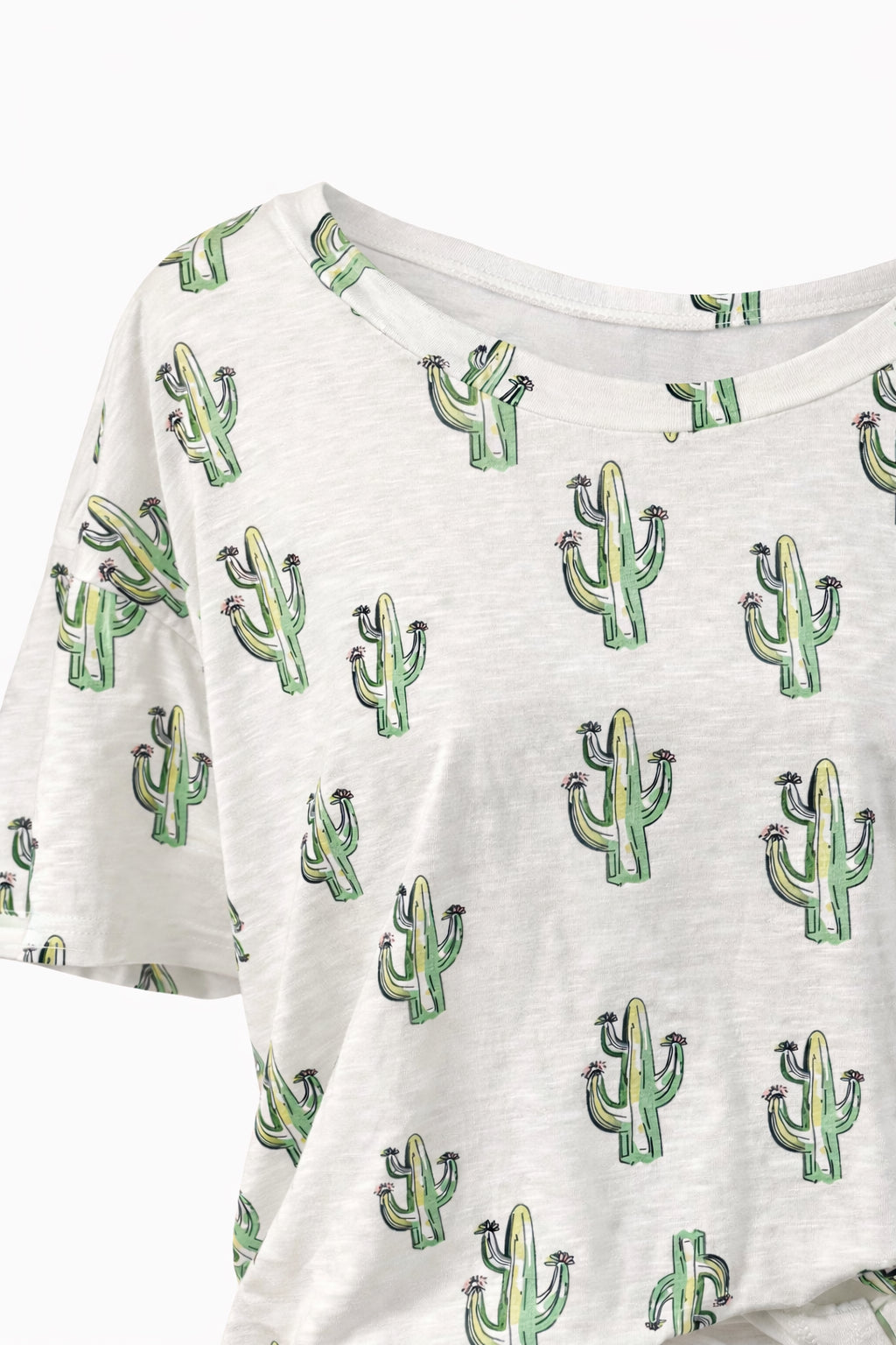 Cacti Around Top image 1