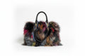 Fox Tote Bag